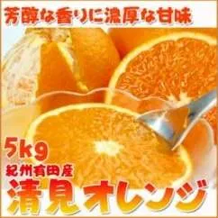 とにかくジューシー清見オレンジ　５kg※2026年3月下旬頃〜2026年4月中旬頃に順次発送予定