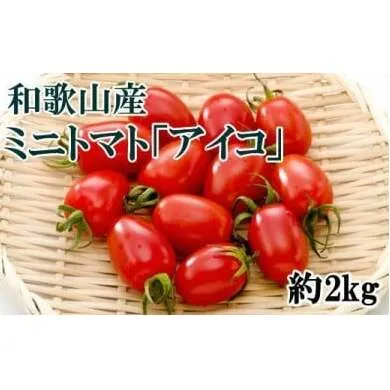 【2026年1月出荷分】和歌山産ミニトマト「アイコトマト」約2kg（S・Mサイズおまかせ）※北海道、沖縄、離島への配送不可 ※2026年1月中旬～1月下旬頃に順次発送予定