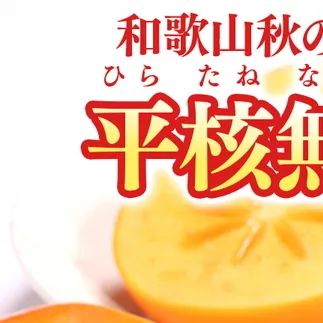 【2026年先行予約】和歌山秋の味覚 平核無柿（ひらたねなしがき）約7.5kg