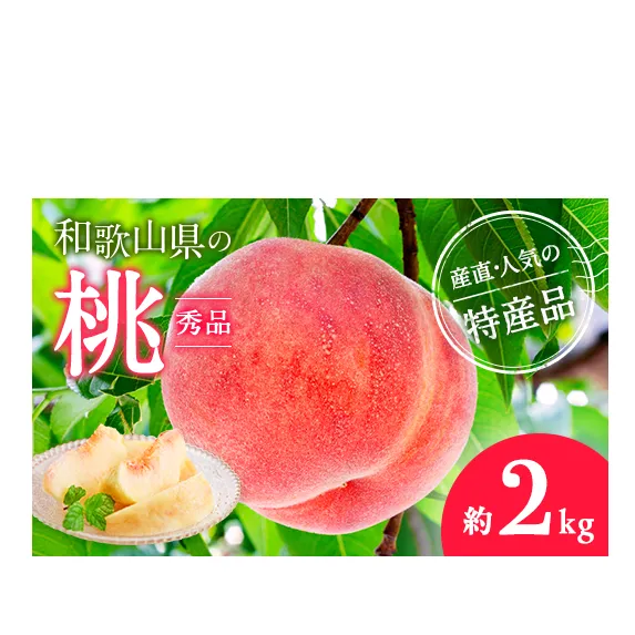 【産直・人気の特産品】和歌山の桃　約2kg・秀品◇ ｜ モモ 国産 フルーツ お取り寄せ ギフト
※北海道・沖縄・離島への配送不可
※2025年6月下旬～8月上旬頃に順次発送予定