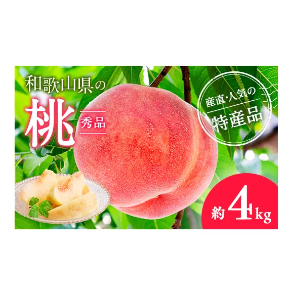 【産直・人気の特産品】和歌山の桃　約4kg・秀品◇ ｜ モモ 国産 フルーツ お取り寄せ ギフト
※北海道・沖縄・離島への配送不可
※2025年6月下旬～8月上旬頃に順次発送予定