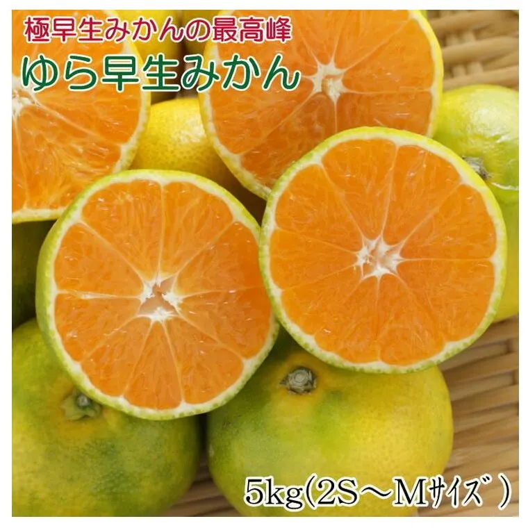 【極早生みかんの逸品】有田産ゆら早生みかん 約5kg
※2025年10月中旬～11月中旬頃に順次発送予定