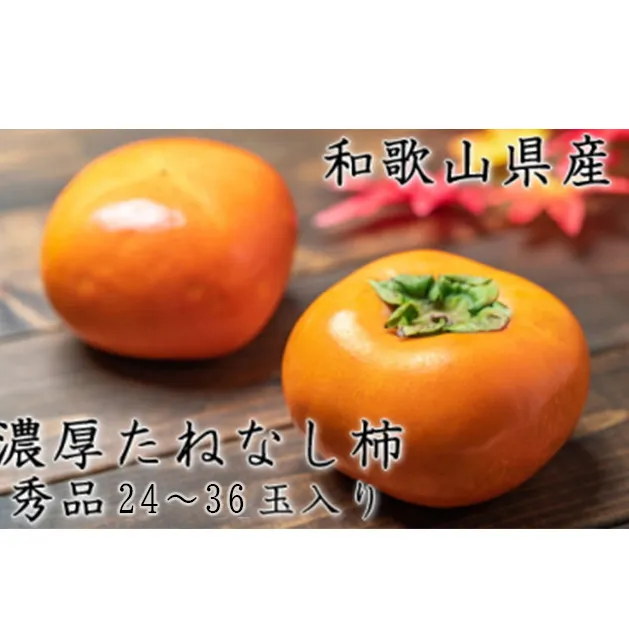 【先行予約】【秋の美味】【和歌山ブランド】濃厚たねなし柿 秀品 L〜４Lサイズ 約7.5kg入り ◇ ※沖縄地域へのお届け不可 ※2025年10月上旬～11月上旬頃に順次発送予定【GO-02】