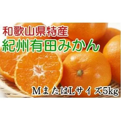 [秀品]和歌山有田みかん5kg(MサイズまたはLサイズのいずれかをお届け) ※2025年11月中旬〜2026年1月中旬頃に順次発送予定