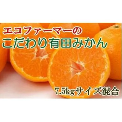 エコファーマーのこだわり有田みかん7.5kg(サイズ混合)◇ ※2025年11月中旬～2026年1月中旬頃に順次発送予定