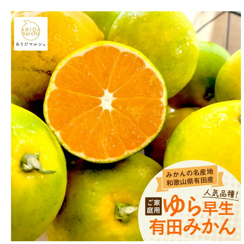 【先行予約】【秋の美味】【農家直送】ゆら早生有田みかん（ご家庭用）約5kg ふるさと納税 みかん ※2025年10月上旬～10月下旬頃に順次発送予定 ※北海道・沖縄・離島への配送不可