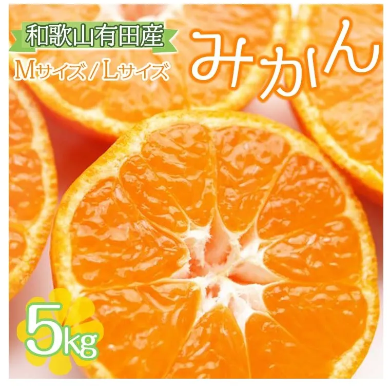 【ご家庭用】和歌山有田みかん約5kg(M、Lサイズ)【美浜町】〇 ※北海道・沖縄・離島への配送不可 ※2025年11月上旬～2026年1月下旬頃に順次発送予定