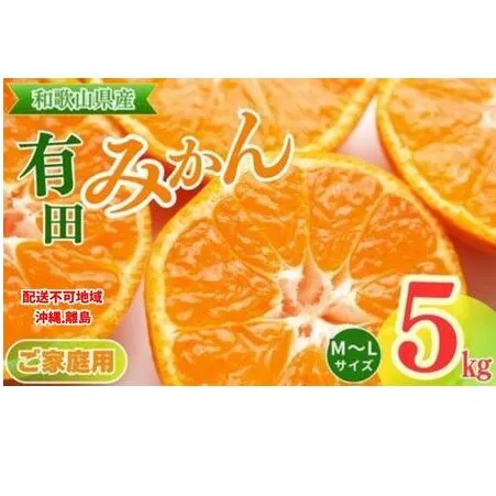 【ご家庭用】和歌山有田みかん約5kg(M、Lサイズ)【美浜町】〇