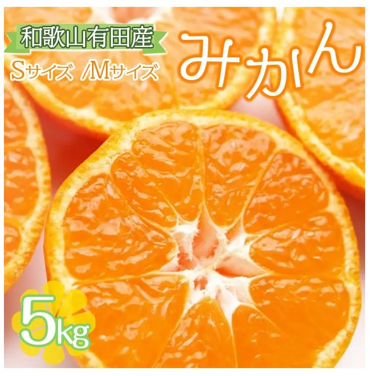 【ご家庭用】和歌山有田みかん約5kg(S、Mサイズ)〇 ｜ みかん 有田みかん 温州みかん ミカン 温州ミカン 柑橘 果物 フルーツ 甘い 先行予約 s m 甘い 5kg ※北海道・沖縄・離島への配送不可 ※2025年11月上旬～2026年1月下旬頃に順次発送予定