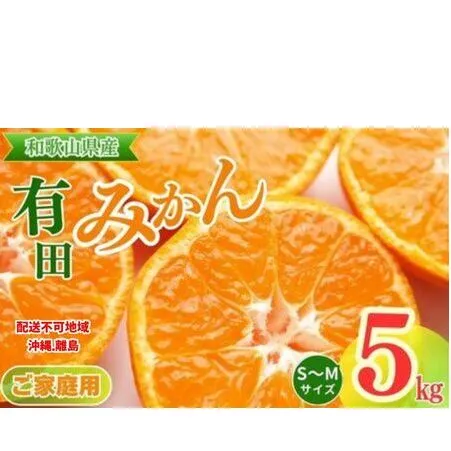 【先行予約】【ご家庭用】和歌山有田みかん約5kg(S、Mサイズ) ｜ みかん 有田みかん 温州みかん ミカン 温州ミカン 柑橘 果物 フルーツ 甘い 先行予約 s m 甘い 5kg