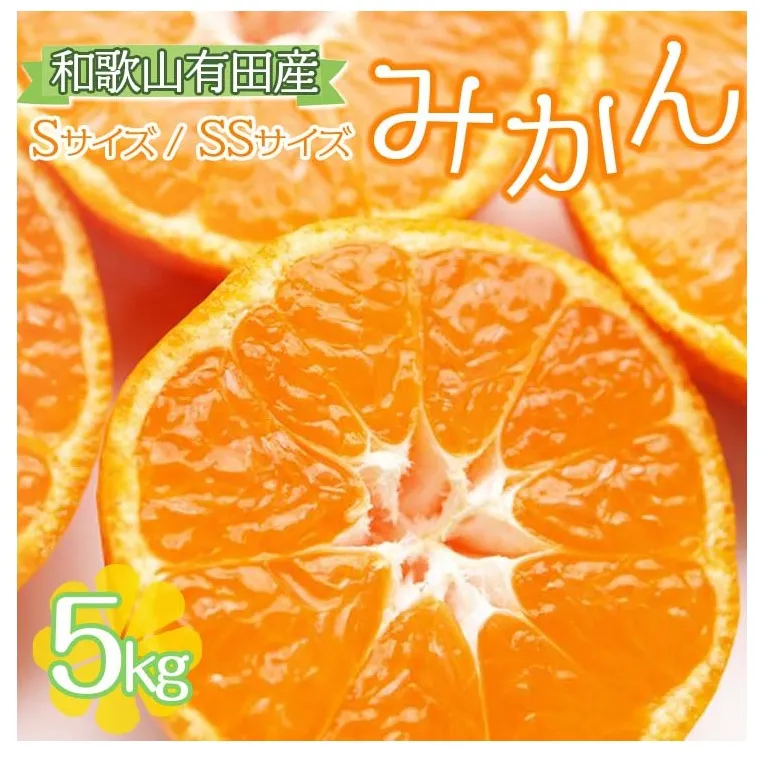 【ご家庭用】和歌山有田みかん約5kg(SS、Sサイズ) 〇｜ みかん ミカン mikan 有田みかん s ss 5kg 柑橘 温州ミカン 温州みかん 先行予約 ※北海道・沖縄・離島への配送不可 ※2025年11月上旬～2026年1月下旬頃に順次発送予定