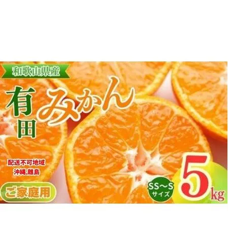 【ご家庭用】和歌山有田みかん約5kg(SS、Sサイズ) 〇｜ みかん ミカン mikan 有田みかん s ss 5kg 柑橘 温州ミカン 温州みかん 先行予約