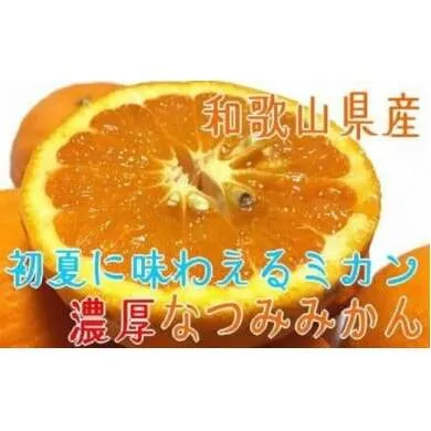 【先行予約】【初夏の美味】【みかん名産地和歌山有田】濃厚なつみみかん(ご家庭用) 約1kg
※2024年4月中旬～5月中旬頃に順次発送予定
※北海道・沖縄・離島への配送不可