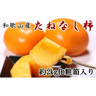【厳選・産直】和歌山産のたねなし柿2L～4Lサイズ約2kg（化粧箱入り） ※2025年9月中旬～11月上旬頃に順次発送予定 ※離島への配送不可
