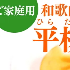 【2026年先行予約】【ご家庭用わけあり】和歌山秋の味覚 平核無柿（ひらたねなしがき）約7.5kg