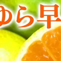 【2026年先行予約】紀州和歌山有田産ゆら早生みかん 5kg