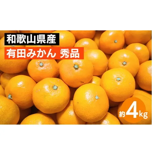 和歌山県産 有田みかん 約4kg 秀品 ※2025年10月中旬～2026年1月下旬頃に順次発送予定 ※北海道・沖縄・離島への配送不可