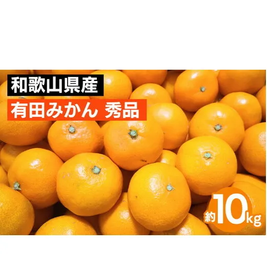 和歌山県産 有田みかん 約10kg 秀品 ※2025年10月中旬～2026年1月下旬頃に順次発送予定 ※北海道・沖縄・離島への配送不可