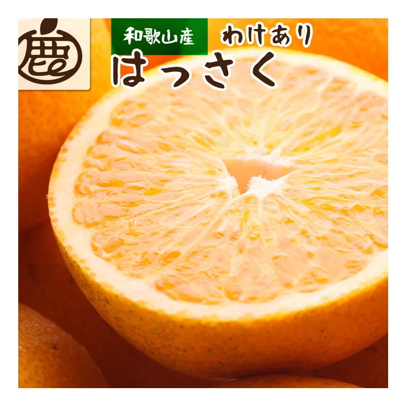 [1月より発送]家庭用 はっさく5kg+250g(傷み補償分) | 八朔みかん わけあり ※2026年1月上旬〜3月下旬頃に順次発送予定 ※北海道・沖縄・離島への配送不可