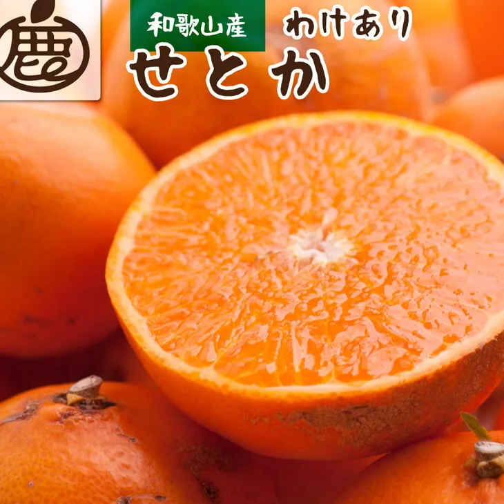 ＜2月より発送＞家庭用 せとか2.5kg+250g（傷み補償分）【柑橘・春みかんの王様】【光センサー選果・食べ頃出荷】訳あり わけあり ワケアリ ◇ ※北海道・沖縄・離島への配送不可 ※2026年2月中旬～3月下旬頃に順次発送予定