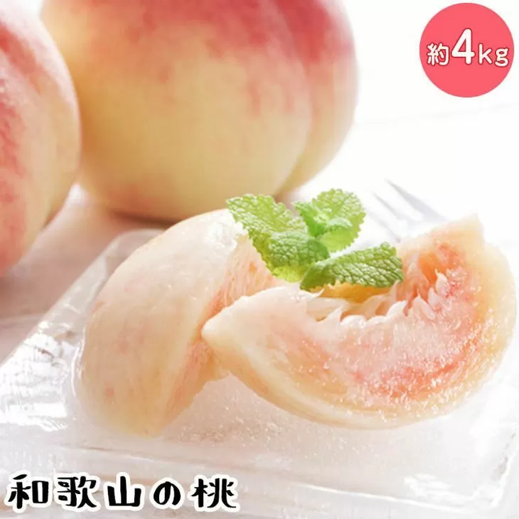 【先行予約】【夏の美味】フルーツ王国　和歌山の桃　約４kg
※北海道・沖縄・離島への配送不可
※2025年6月中旬～7月下旬頃に順次発送予定（fr-07）
