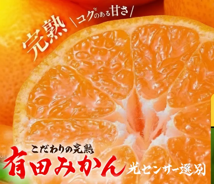 ＼光センサー選別／こだわりの完熟有田みかん 8kg＋150g(傷み補償分) 【ご家庭用】サイズ混合 有機質肥料100%｜ ふるさと納税 ミカン 〇