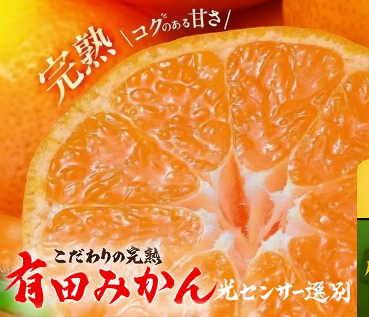 ＼光センサー選別／こだわりの完熟有田みかん 10kg＋150g(傷み補償分) 【ご家庭用】サイズ混合 有機質肥料100%｜ ふるさと納税 みかん