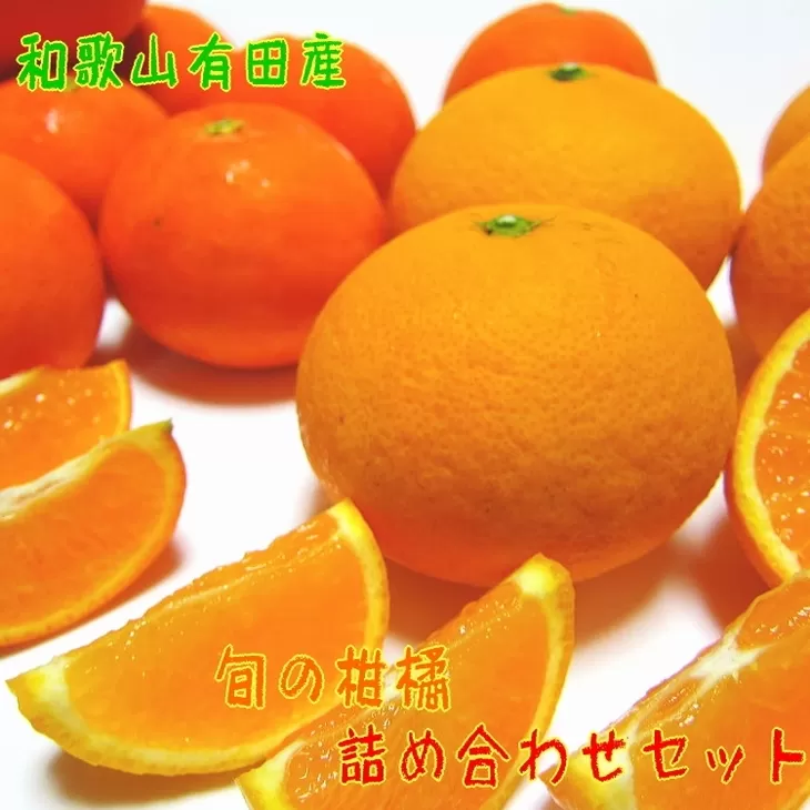【先行予約】旬の柑橘詰め合わせセット（ご家庭用）約5kg ｜ フルーツ ふるーつ 果物 くだもの 詰め合わせ オレンジ みかん レモン 国産 産地直送 美浜町 ※2026年1月中旬～4月下旬頃に順次発送予定 ※北海道・沖縄・離島への配送不可