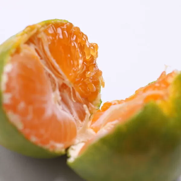 〈10月より発送〉ゆら早生 プレミアム有田みかん 1kg+250g（傷み補償分） ｜ 柑橘 果物 フルーツ 糖度 甘い 濃厚 コク ジューシー 光センサー ※北海道・沖縄・離島への配送不可 ※2025年10月上旬～11月中旬頃に順次発送予定