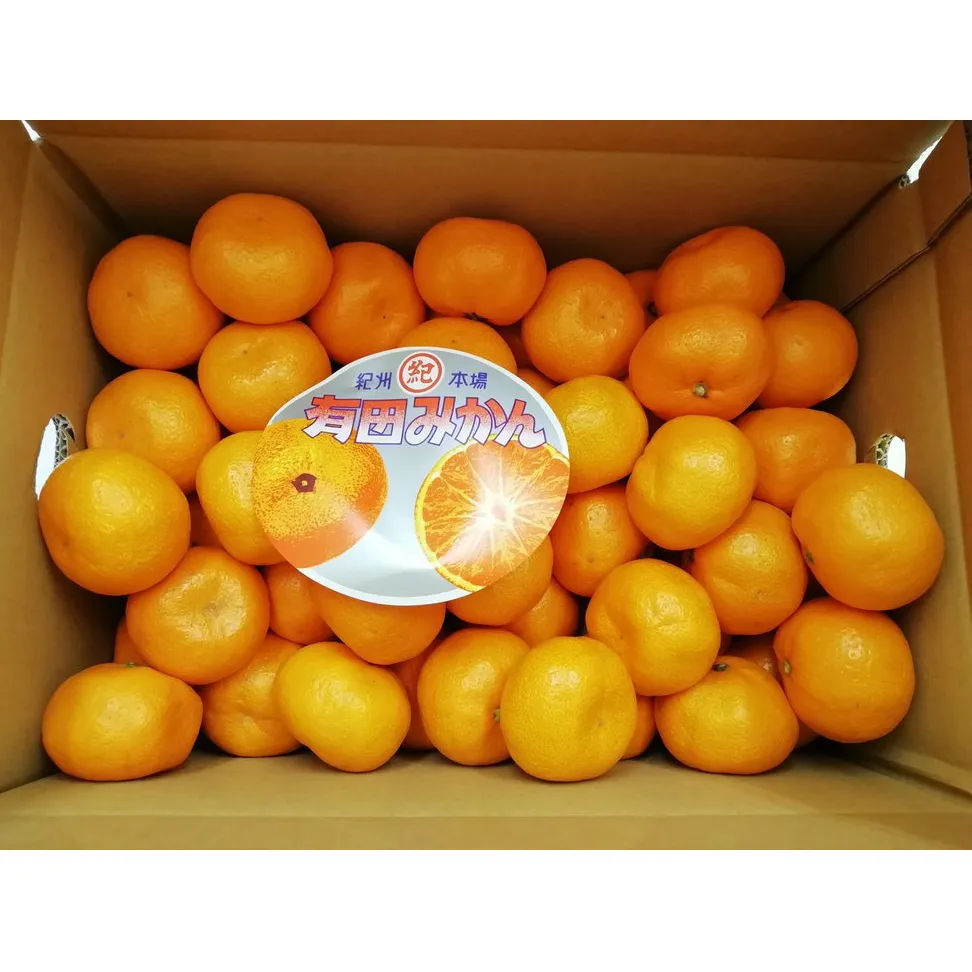 有田みかん約5ｋｇ
※2021年11月中旬～12月下旬頃に順次発送予定