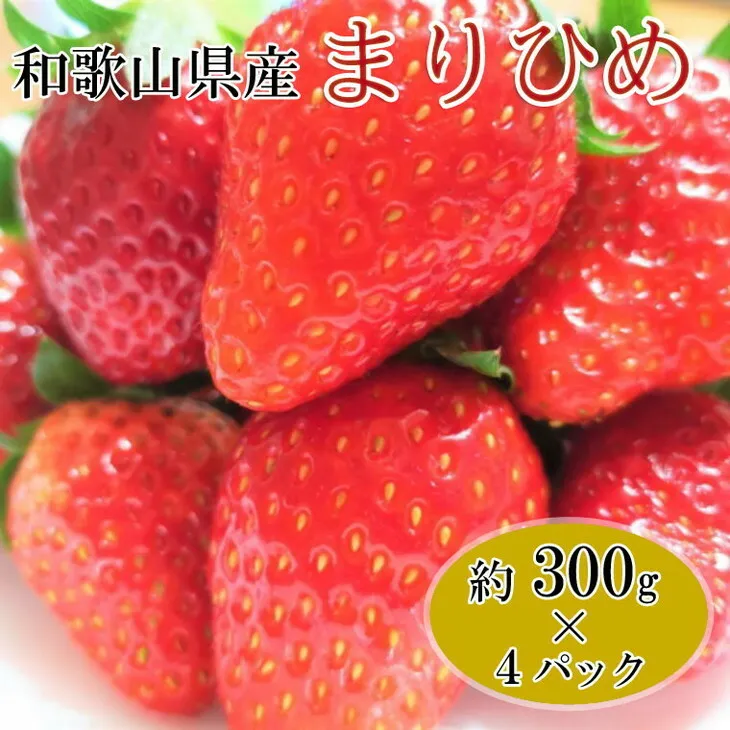 【1月発送】和歌山県産ブランドいちご「まりひめ」約300g×4パック入り◇｜苺 産地直送 果物 ふるさと納税 いちご フルーツ ※北海道・沖縄・離島への配送不可 ※2026年1月中旬～1月下旬頃に順次発送予定