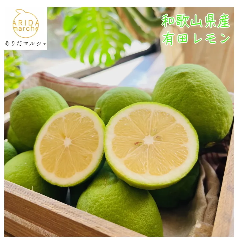 【先行予約】【国産】農家直送！ 有田レモン 2kg◇ ※北海道・沖縄・離島への配送不可 ※2025年9月下旬～2026年3月下旬頃に順次発送予定