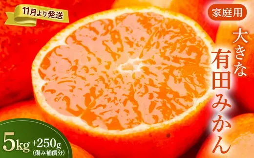 家庭用 大きな有田みかん5kg+250g（傷み補償分）【わけあり・訳あり】【光センサー選果】