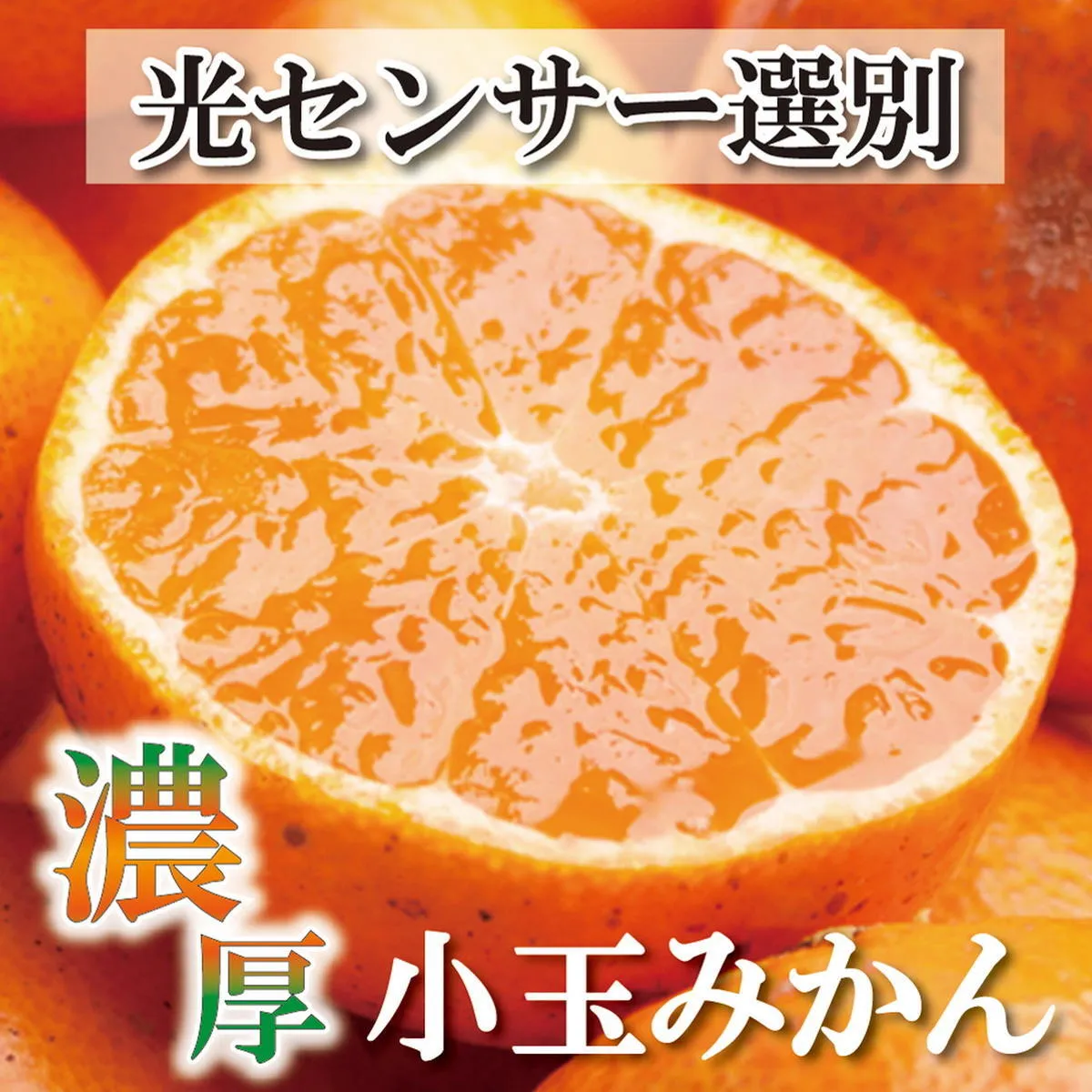 家庭用 小玉な有田みかん5kg+250g（傷み補償分）【わけあり・訳あり】【光センサー選果】 ※北海道・沖縄・離島への配送不可 ※2025年11月上旬～2026年1月下旬頃に順次発送予定