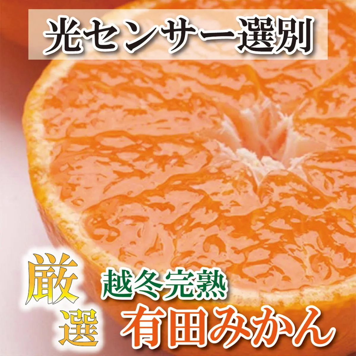 ＜2025年1月より発送＞厳選 越冬完熟みかん2.5kg+75g（傷み補償分）【ハウスみかん】【光センサー選果】 ※北海道・沖縄・離島への配送不可 ※2025年1月中旬～2月下旬頃に順次発送予定