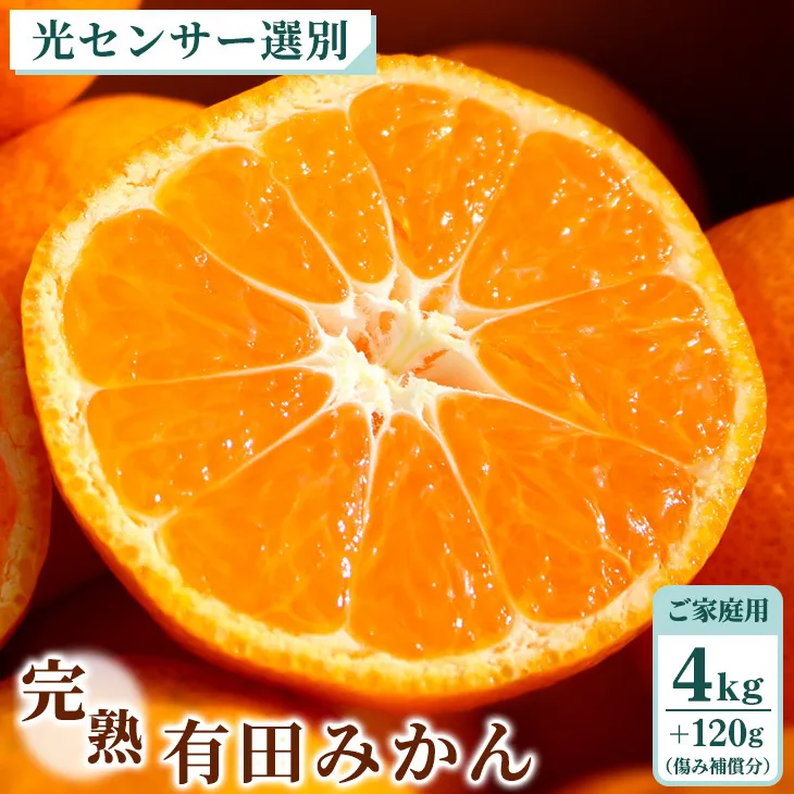 家庭用 完熟有田みかん4kg+120g（傷み補償分）【わけあり・訳あり】【光センサー選果】
※北海道・沖縄・離島への配送不可
※着日指定不可
※2024年1月上旬～1月下旬頃に順次発送予定