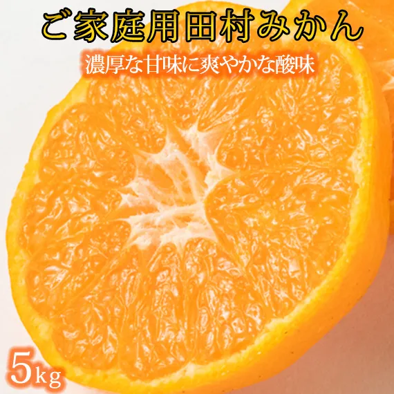 【ご家庭用訳あり】田村みかん ５ｋｇ◇｜ 有田 紀伊 ふるさと納税 ミカン｜ 蜜柑 柑橘 果物 フルーツ 糖度 甘い 濃厚 コク ジューシー 先行予約 みかん 国産 産地直送 人気 美浜町 ※2025年11月下旬～2026年1月下旬頃に順次発送予定