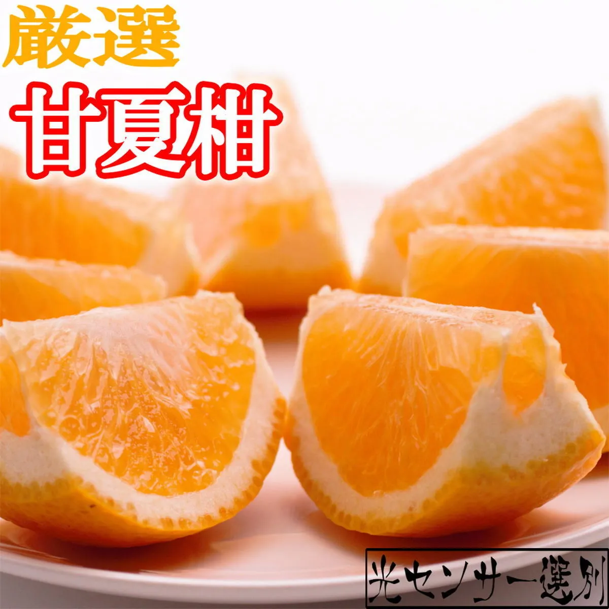 <4月より発送>厳選 甘夏柑7.5kg+250g(傷み補償分)◇【初夏のみかん・旬の果物】【有田産】【光センサー食べ頃出荷】 ※北海道・沖縄・離島への配送不可 ※2026年4月上旬~5月下旬頃に順次発送予定