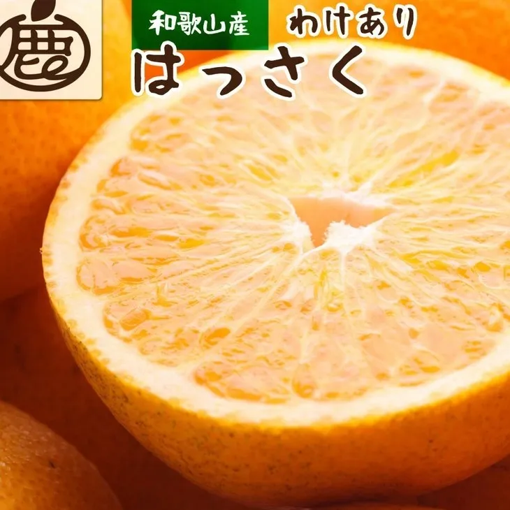 ＜1月より発送＞家庭用 はっさく10kg+250g（傷み補償分） ｜ 八朔みかん わけあり 訳あり ワケアリ ※2026年1月上旬～3月下旬頃に順次発送予定 ※北海道・沖縄・離島への配送不可 ◇