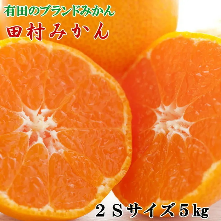 【ブランドみかん】田村みかん約5kg（2Sサイズ・秀品）
※2025年11月下旬～12月下旬頃に順次発送予定