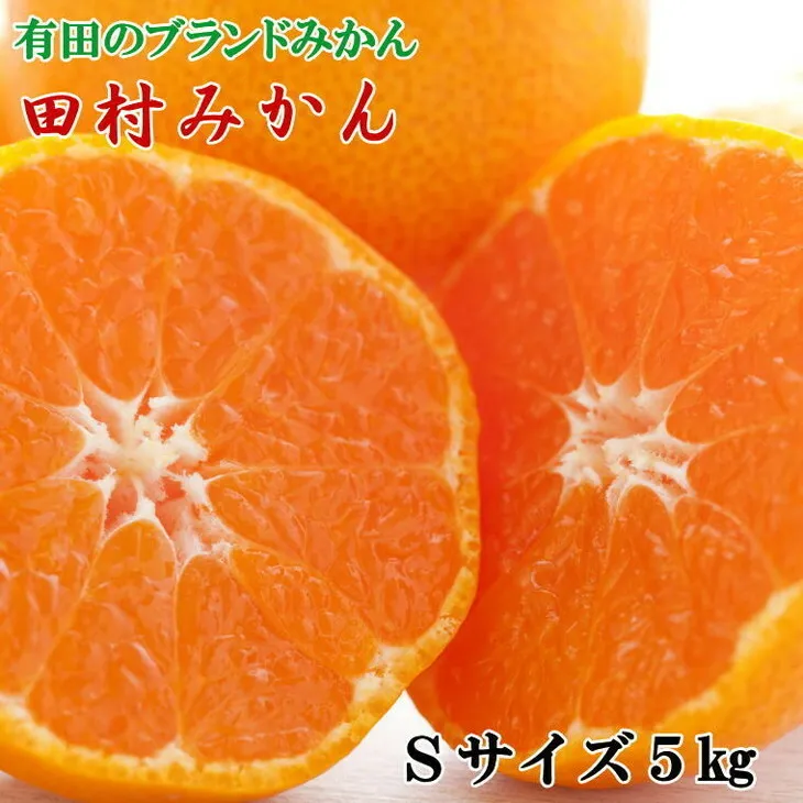 【ブランドみかん】田村みかん約5kg（Sサイズ・秀品）
※2025年11月下旬～12月下旬頃に順次発送予定