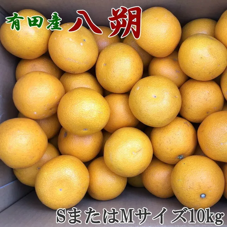 【手選果】有田産の八朔10kg（SまたはMサイズいずれかお届け） ※2026年1月下旬～2月下旬頃に順次発送予定