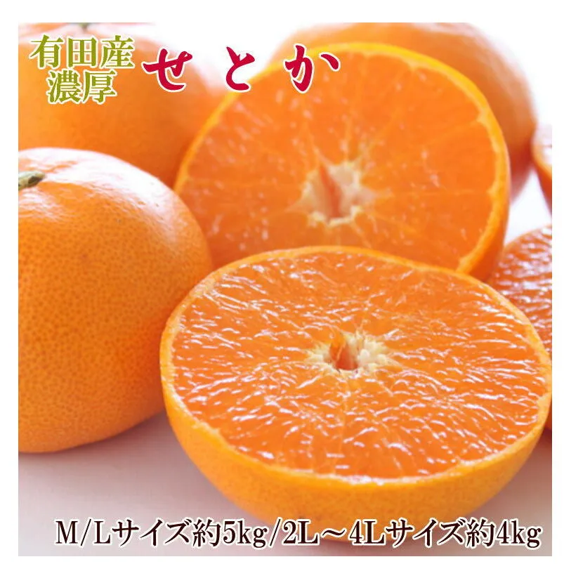 一度は食べていただきたい「有田産のせとか」約4kg～5kg（サイズおまかせ・青秀以上） ※2026年2月中旬～3月中旬頃に順次発送予定