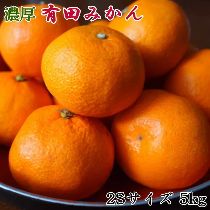 【秀品】 和歌山 有田みかん 5kg（2Sサイズ）
※2025年11月中旬～2026年1月中旬頃に順次発送予定