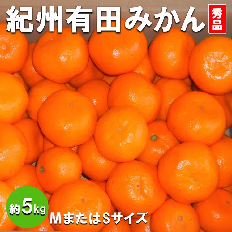 紀州有田みかん 秀品 約5kg(МまたはSサイズ) ※離島への配送不可 ※2025年11月下旬～2026年1月中旬頃順次発送予定
