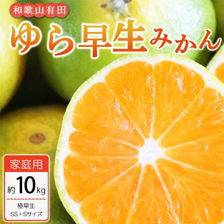 【ご家庭用 極早生】和歌山有田ゆら早生みかん約10kg(SS、Sサイズ)【美浜町】 ※北海道・沖縄・離島への配送不可 ※2025年10月下旬～11月下旬頃に順次発送予定