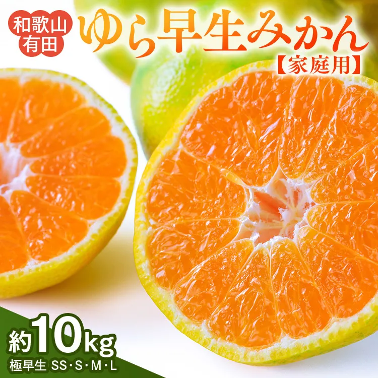 【ご家庭用 極早生】和歌山有田ゆら早生みかん約10kg(SS、S、M、Lサイズ)
※配送不可地域あり※2025年10月下旬～11月下旬頃に順次発送予定