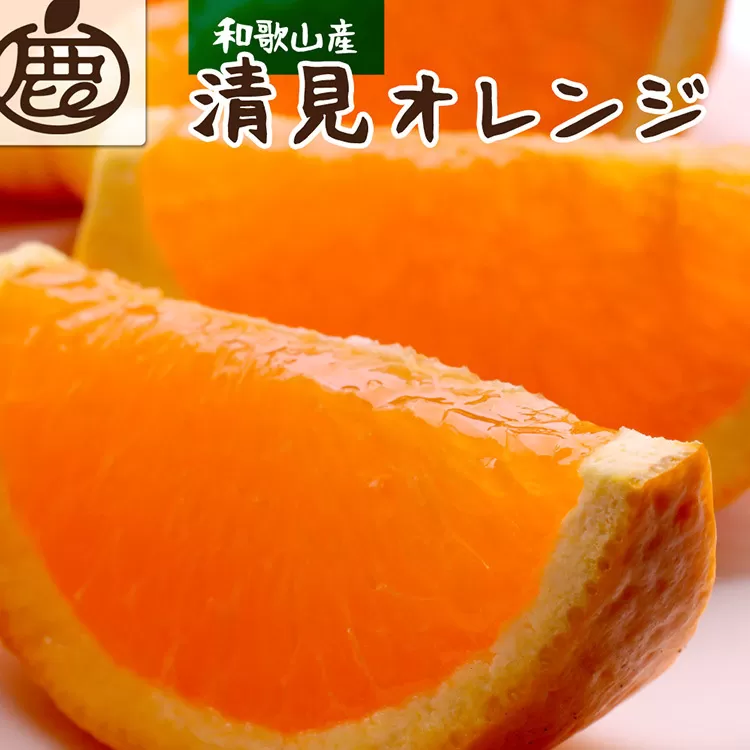 ＜2月より発送＞厳選 清見オレンジ5kg+150g（傷み補償分）◇【光センサー食頃出荷】【樹上完熟きよみオレンジ・清見タンゴール・清美】
※北海道・沖縄・離島への配送不可
※2025年2月上旬～3月下旬頃に順次発送予定