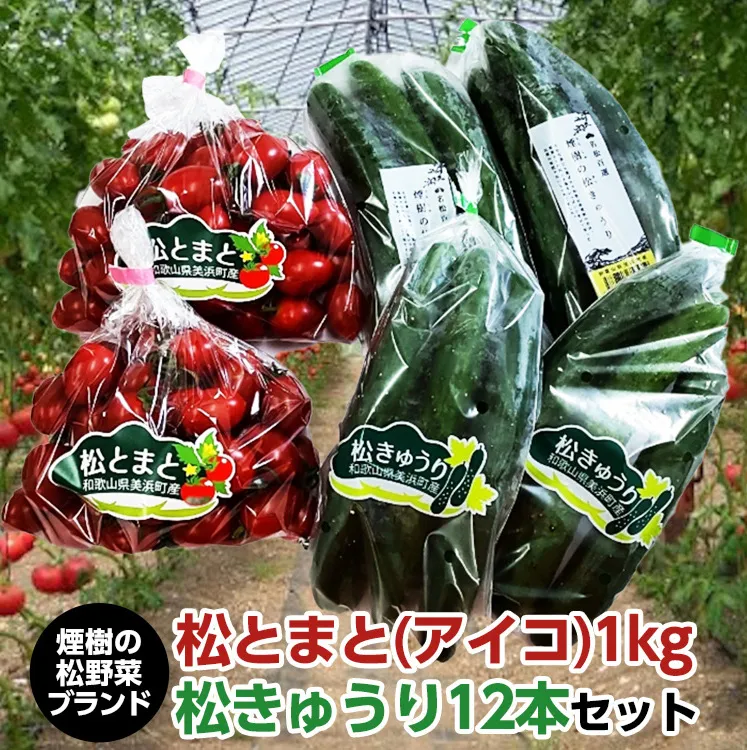 【煙樹の松野菜ブランド】
松とまと（アイコ）松きゅうりセット ※2024年11月中旬～2025年6月上旬頃に順次発送予定