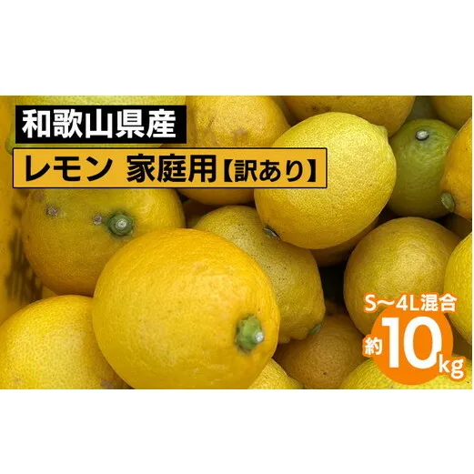 和歌山産 レモン 家庭用 10kg S～4L混合【訳あり】 ※2026年1月中旬～3月下旬頃に順次発送予定 ※北海道・沖縄・離島への配送不可